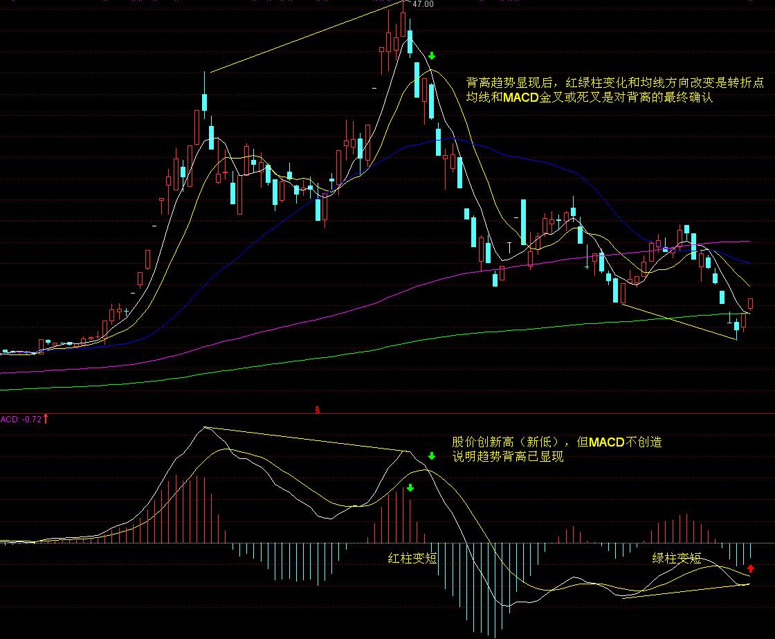 每天走够这个步数,能“抵消”久坐伤身风险!